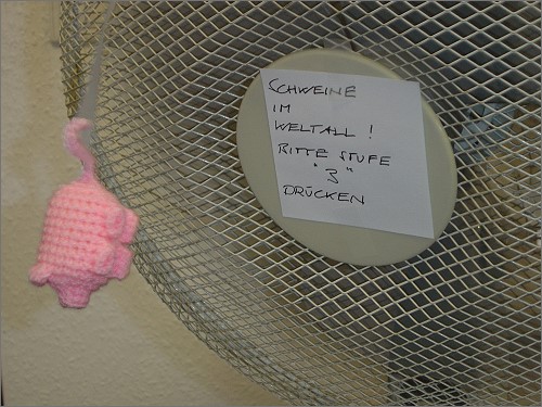 Schweine im Weltall